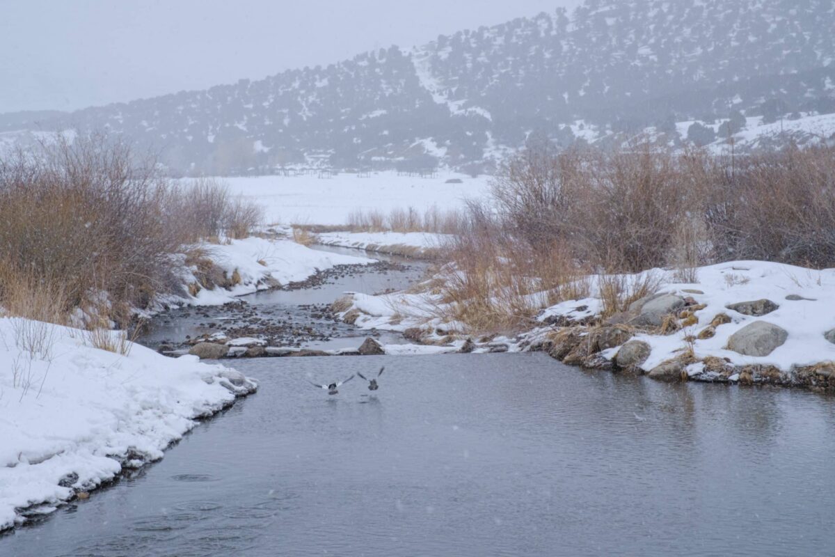 Early season storms help boost Utah’s snowpack this winter News